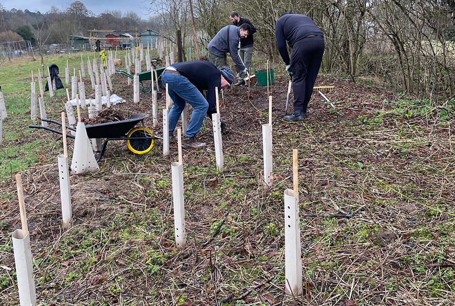 Tree Guards Part 2 Natural Materials
