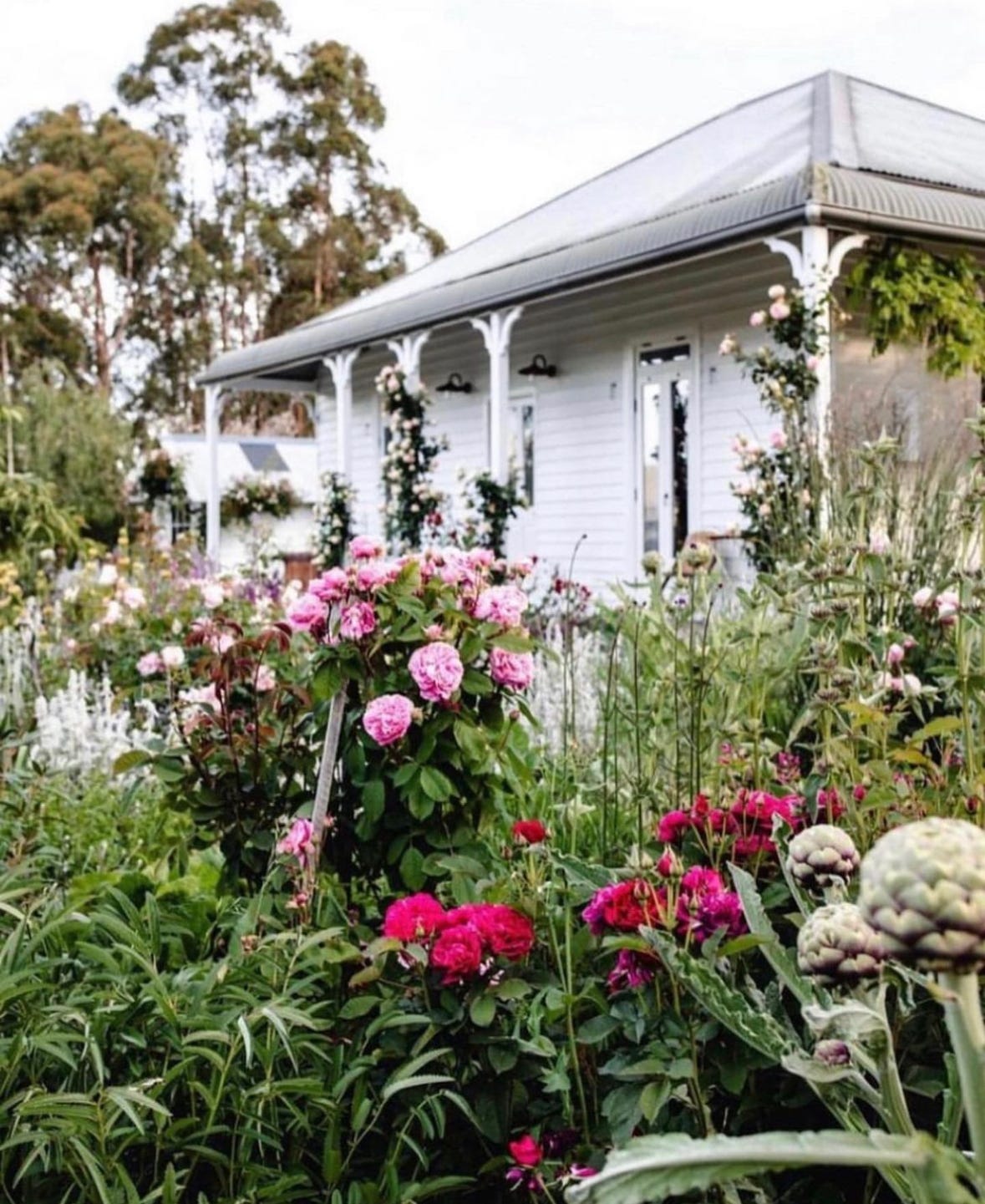Life at Little Oak Farm The Garden at Moorfield