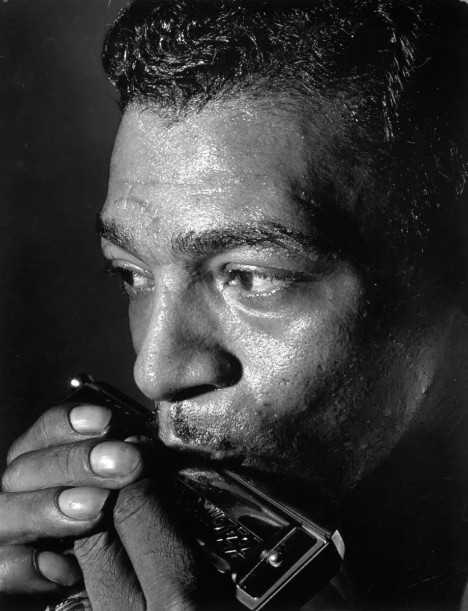Walter harmonica top