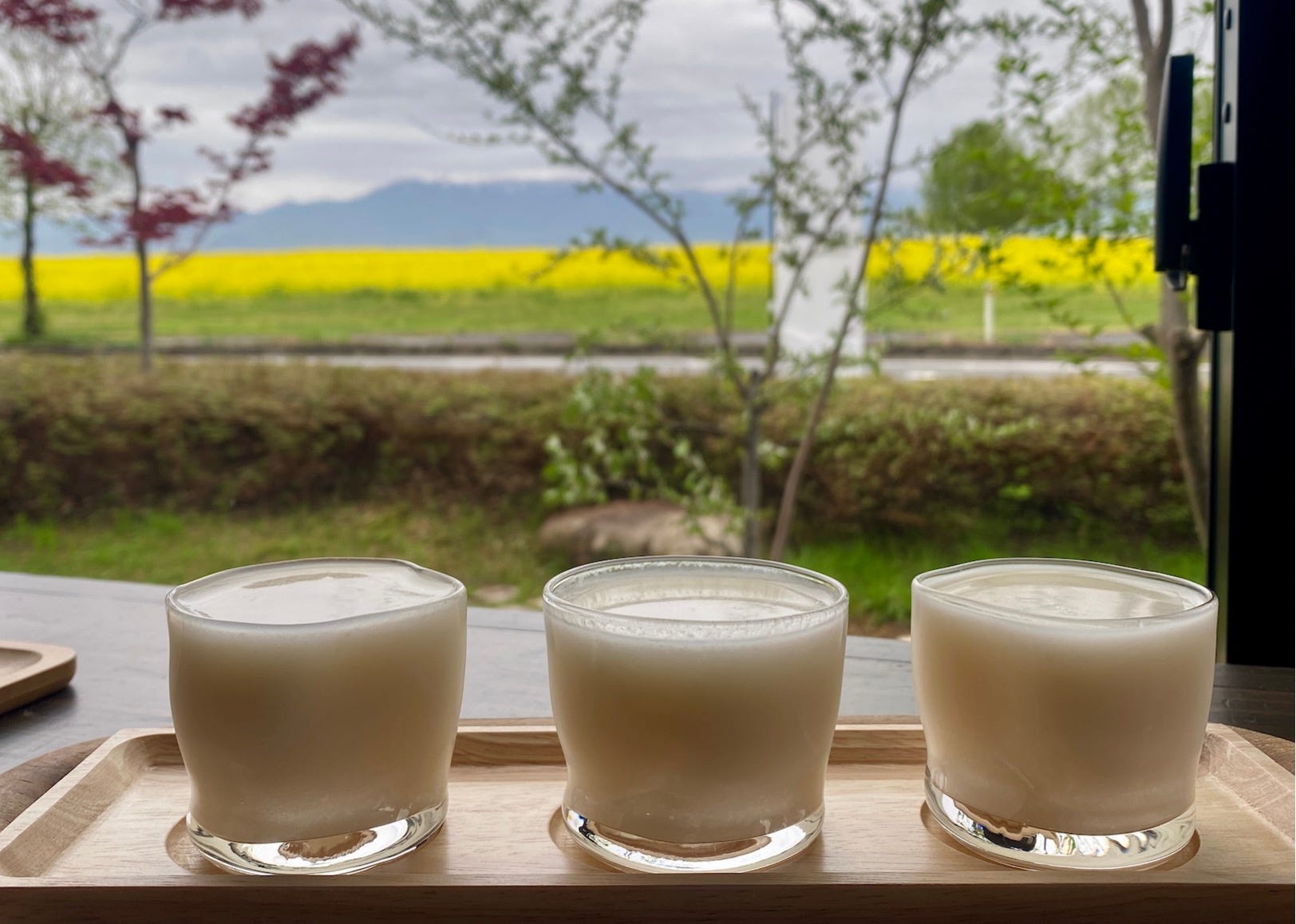 The Murky Doburoku Illusion 