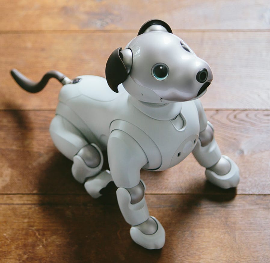 Disney robot dog top