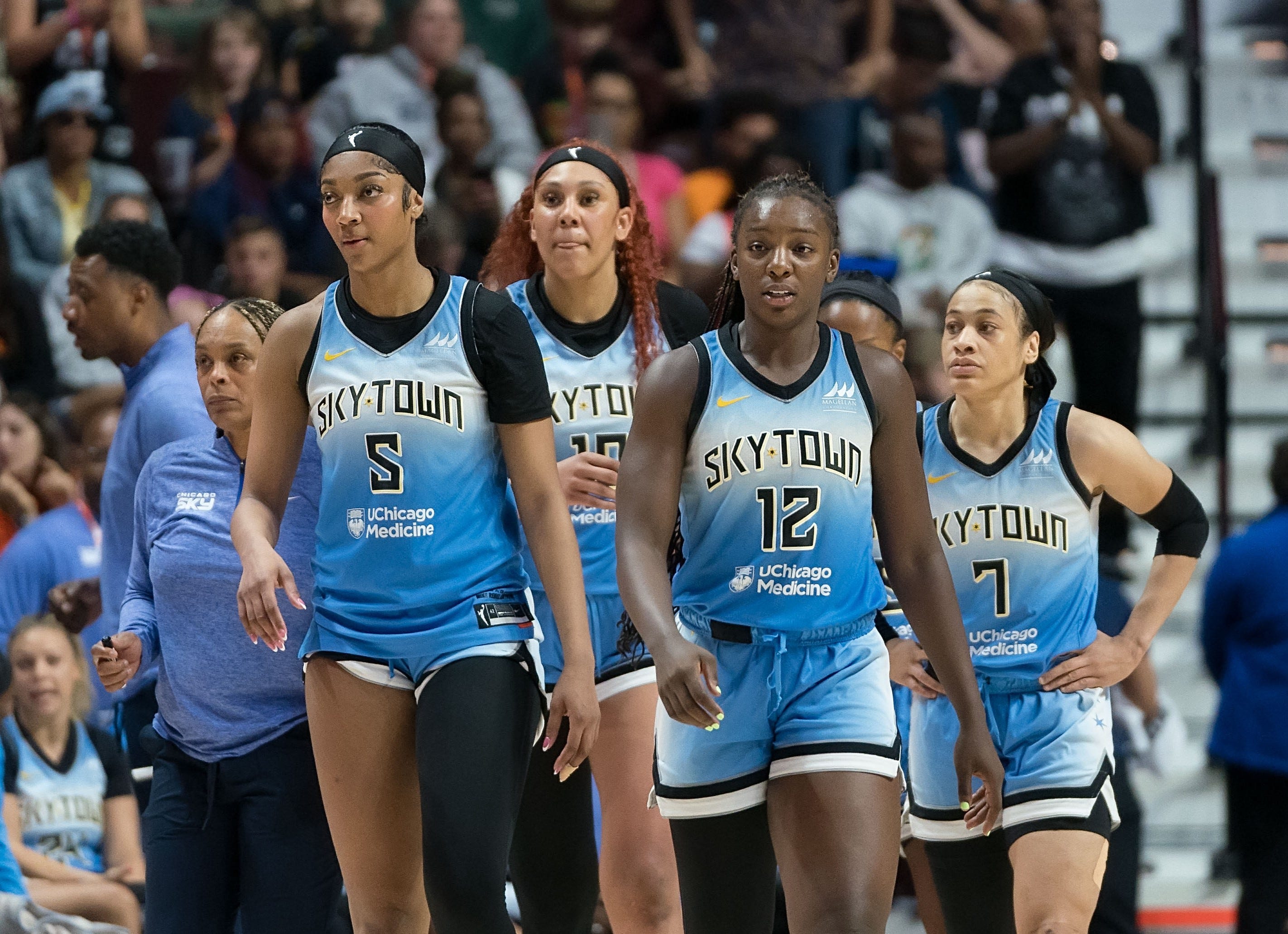 Wnba sky roster cheap