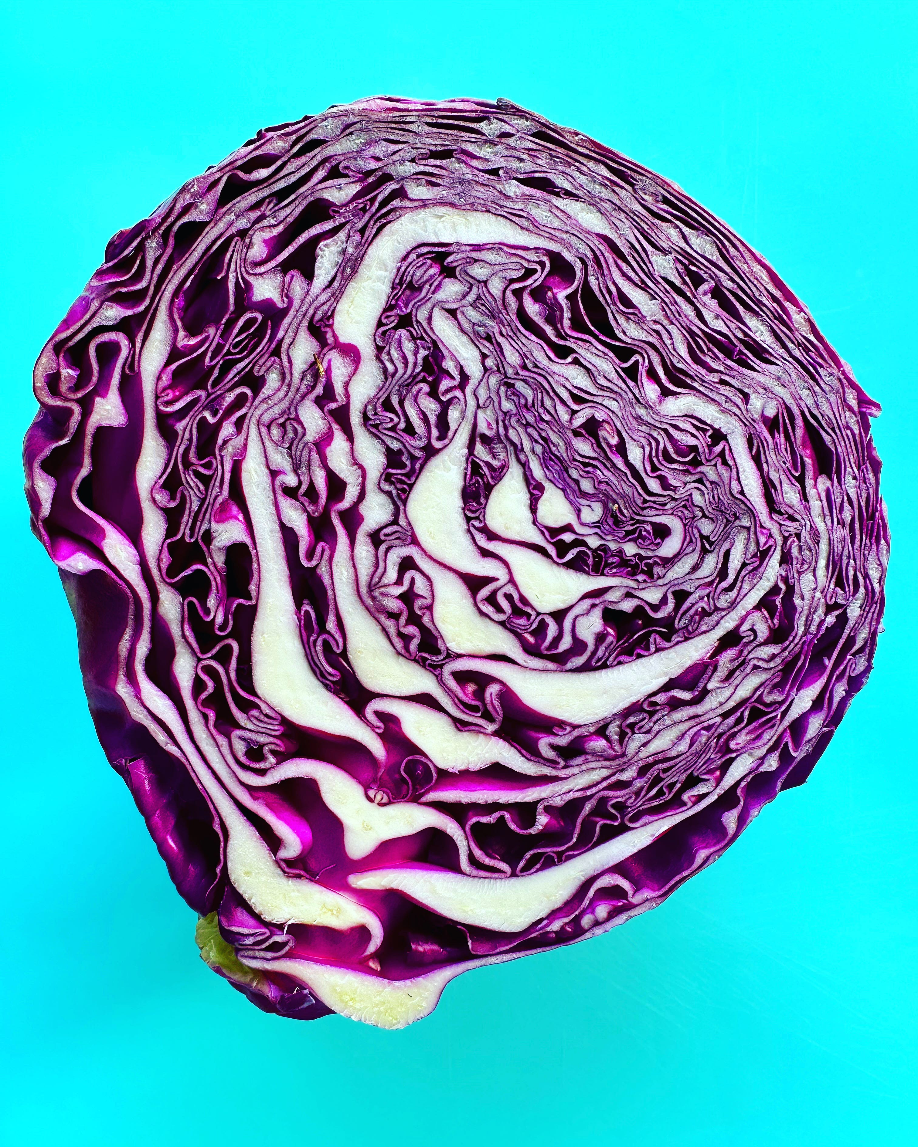 The Department of Salad Has Caught a Bug by emily nunn