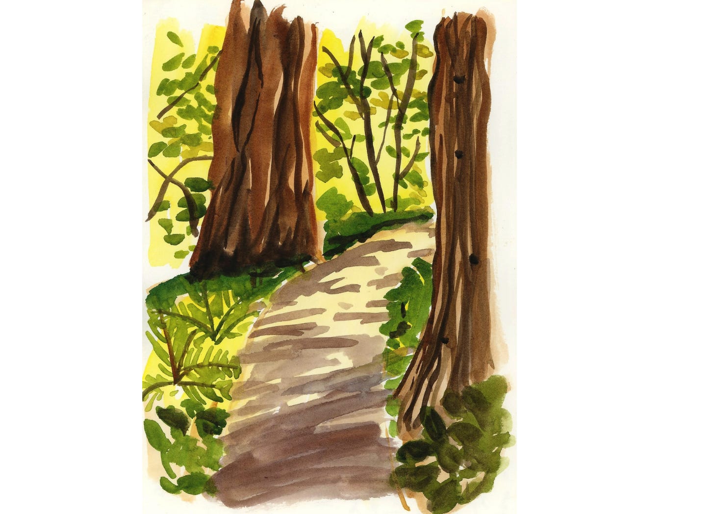How Far Can You Walk In The Woods Clearance