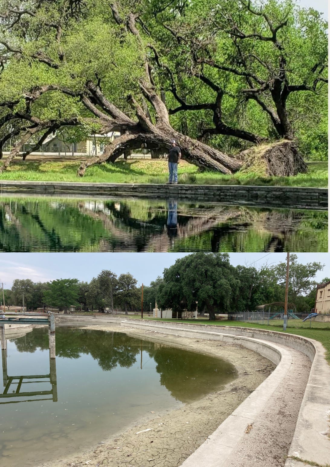 Clark springs top