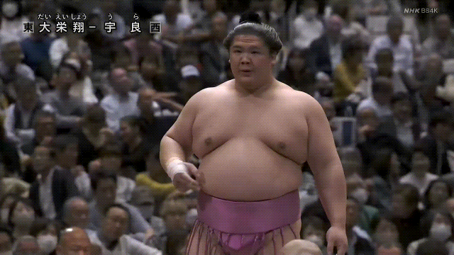 SUMO STOMP #9（新品/送料無料）【楽器検索デジマート】