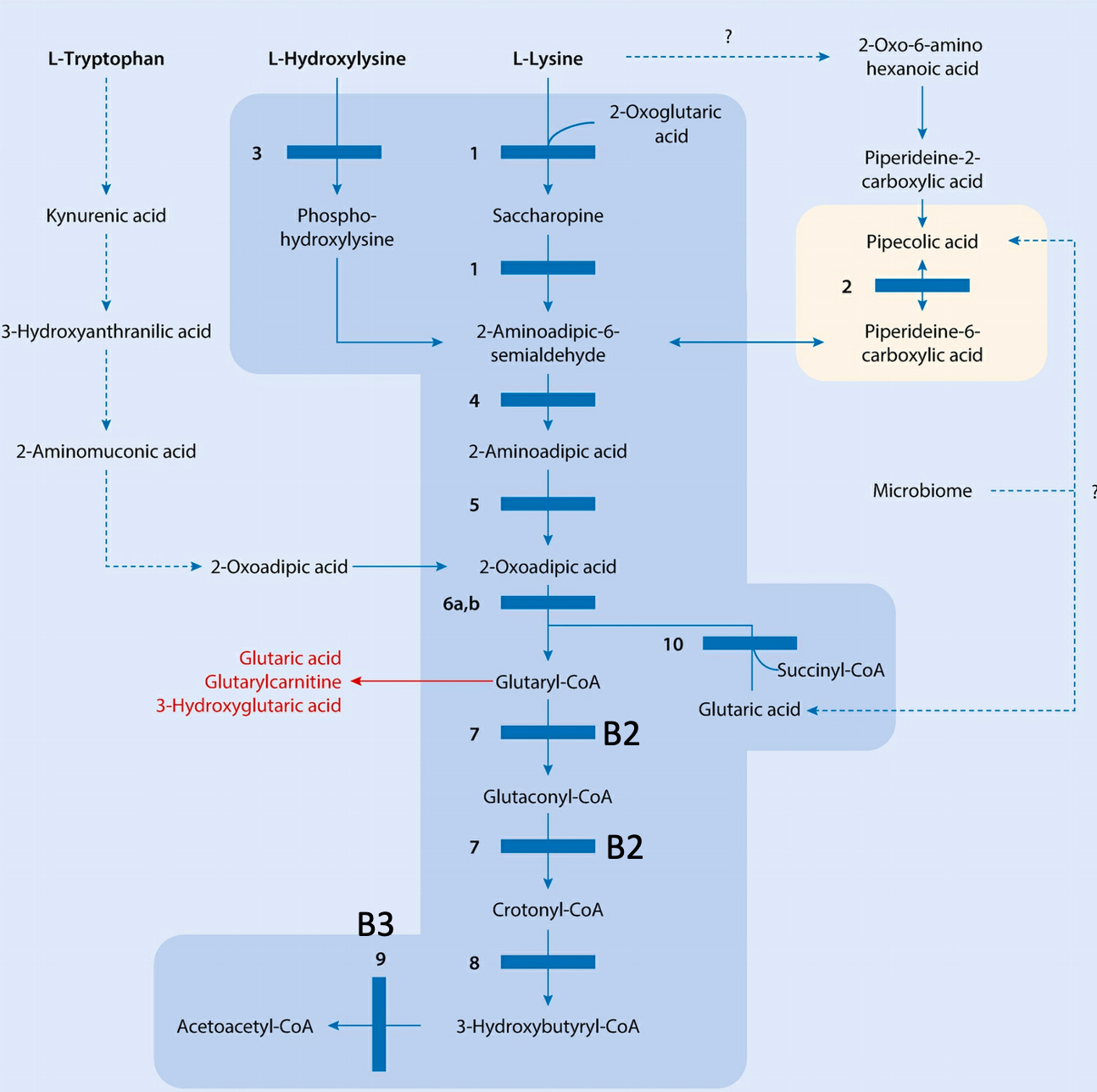 This Is What Causes B6 