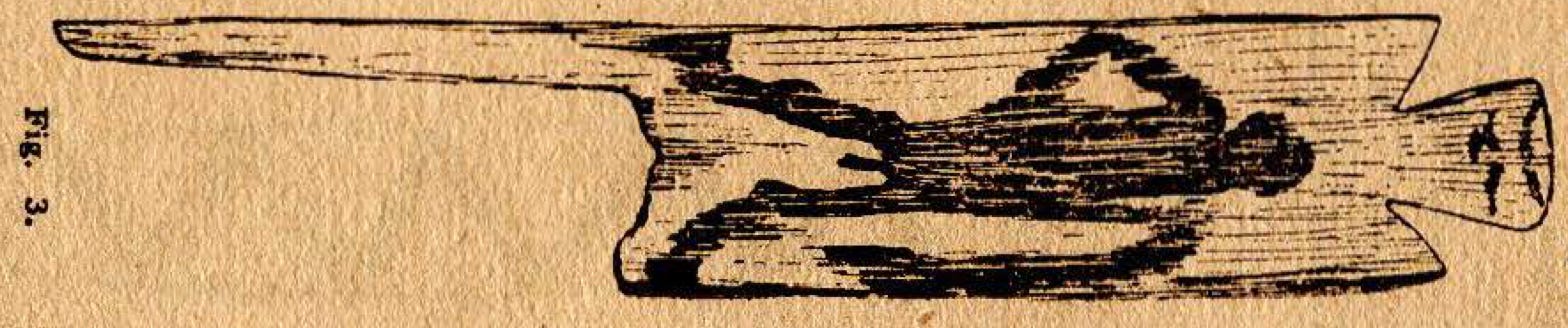 The Bullroarer: a history of man's most sacred ritual object