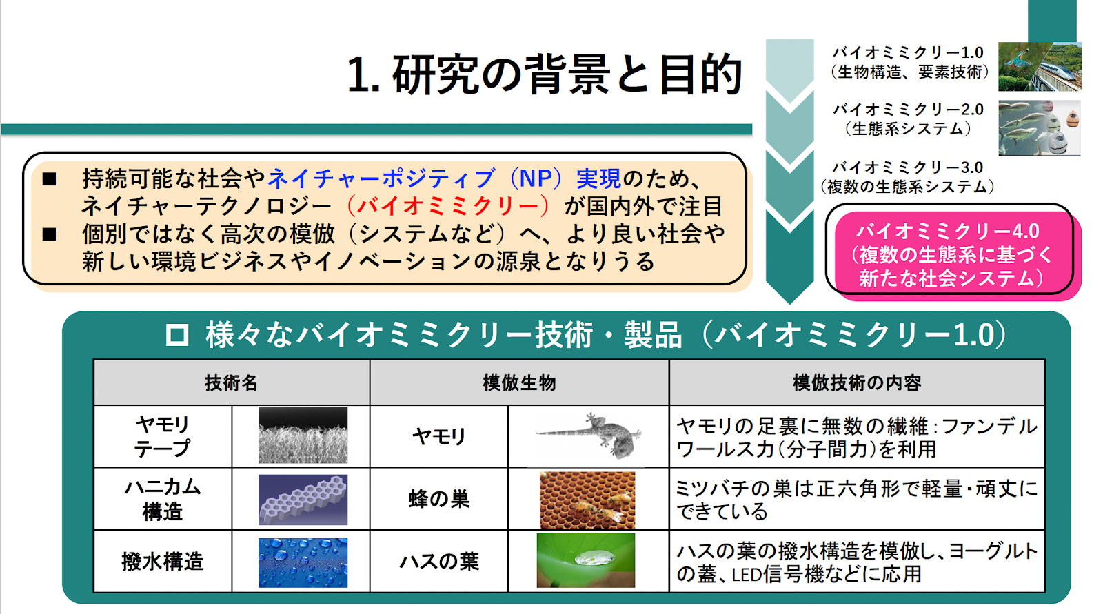 買取り実績  生物模倣から「生態系システム全体の模倣」へ──学際的概念から 環境