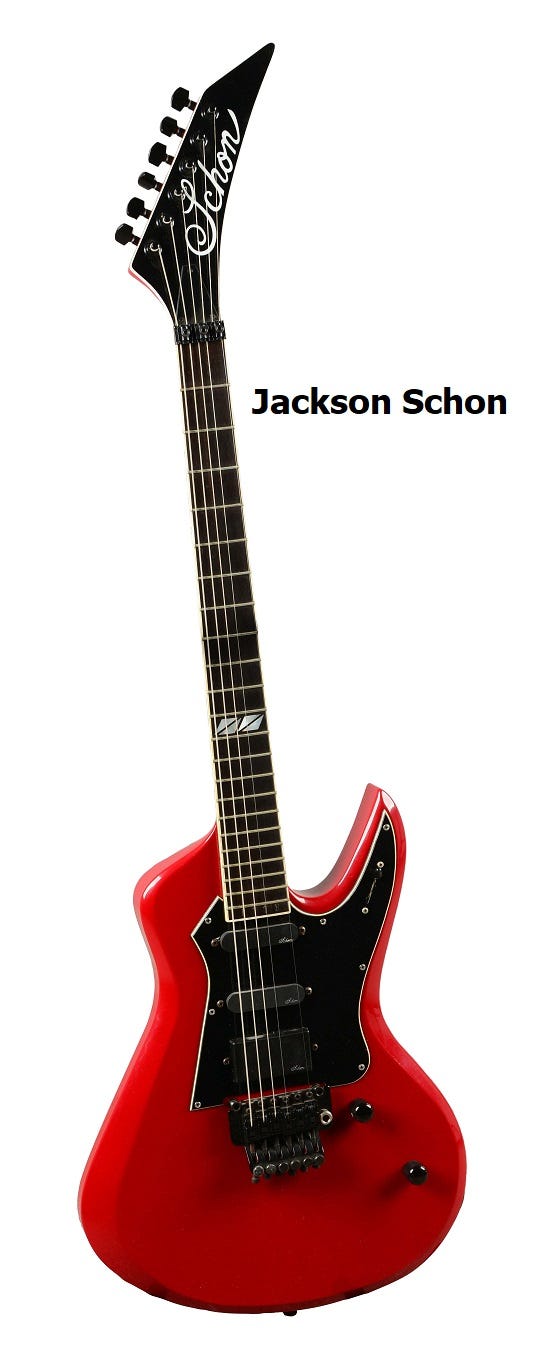 Schon guitar for sale sale