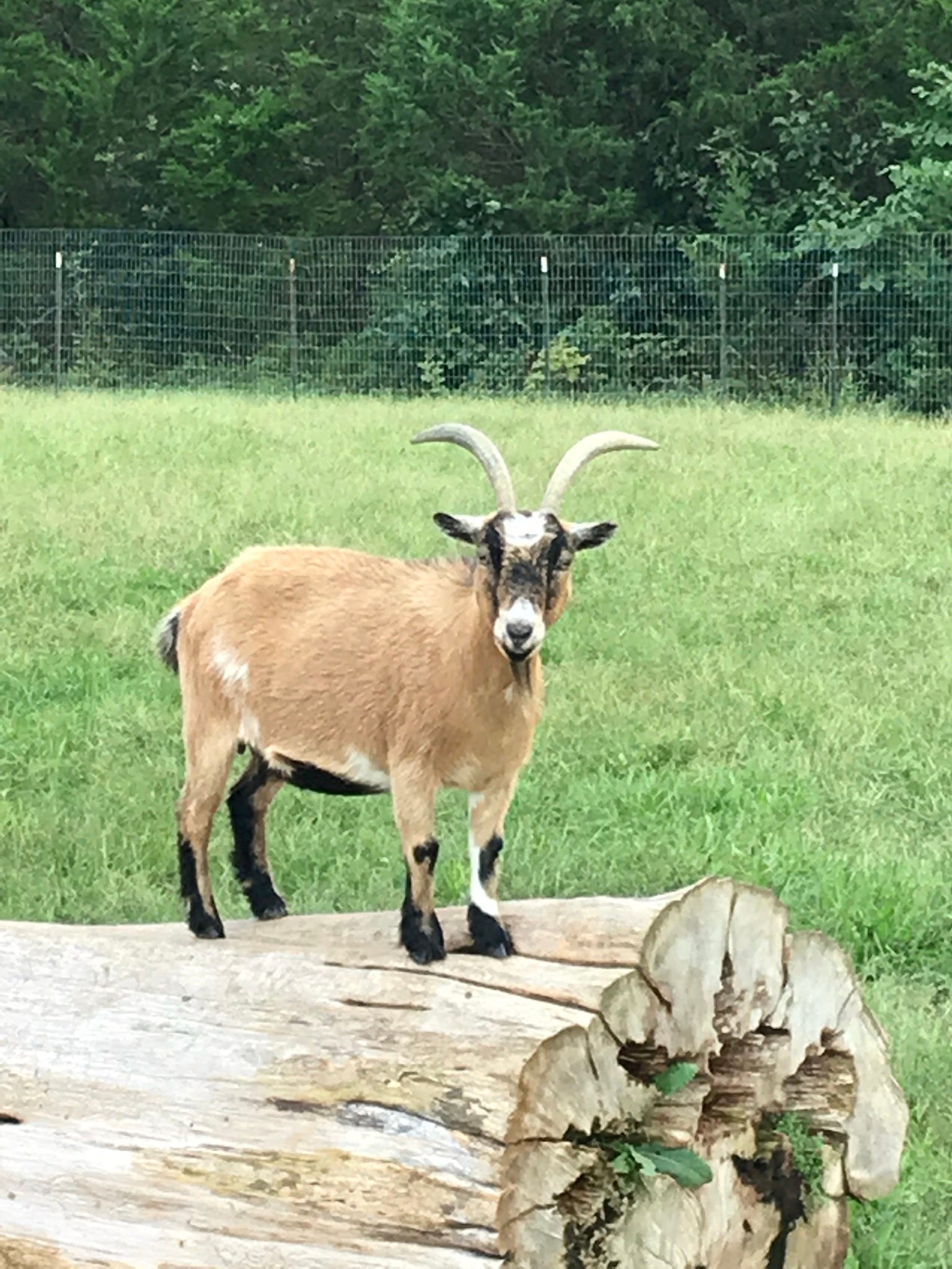 e. taylor Craig | Substack