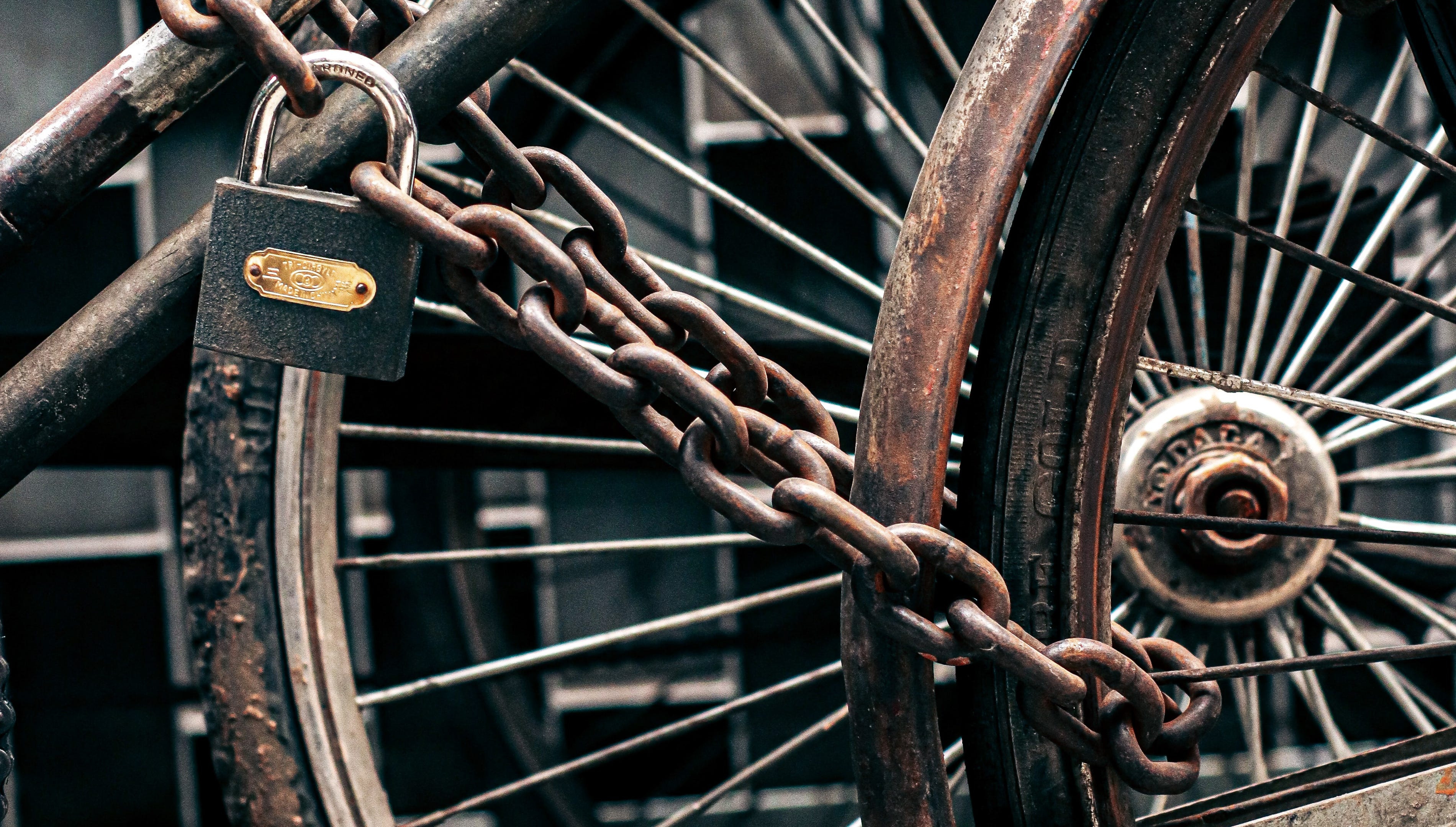 Chains and locks new arrivals
