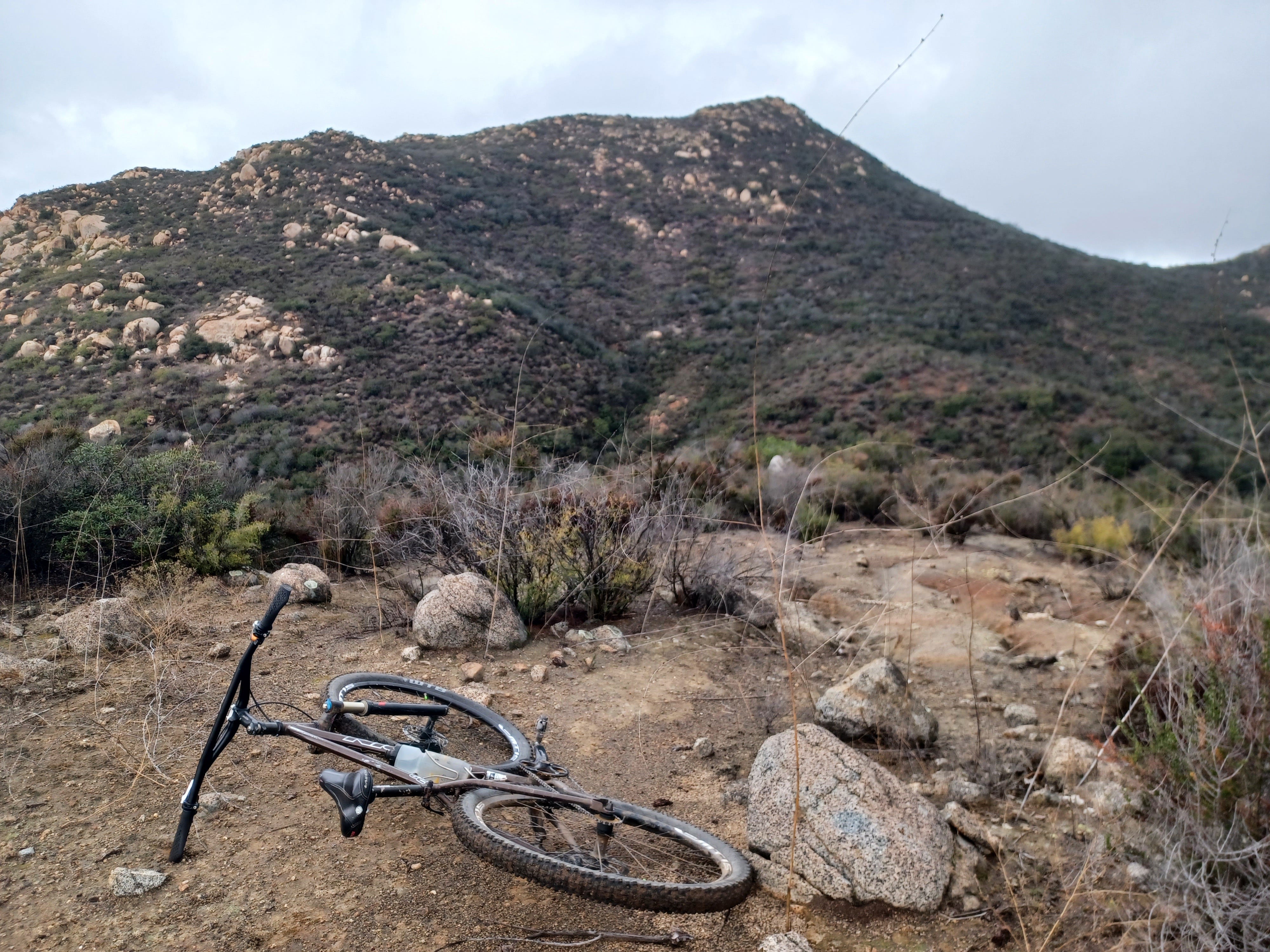 One to go discount biking