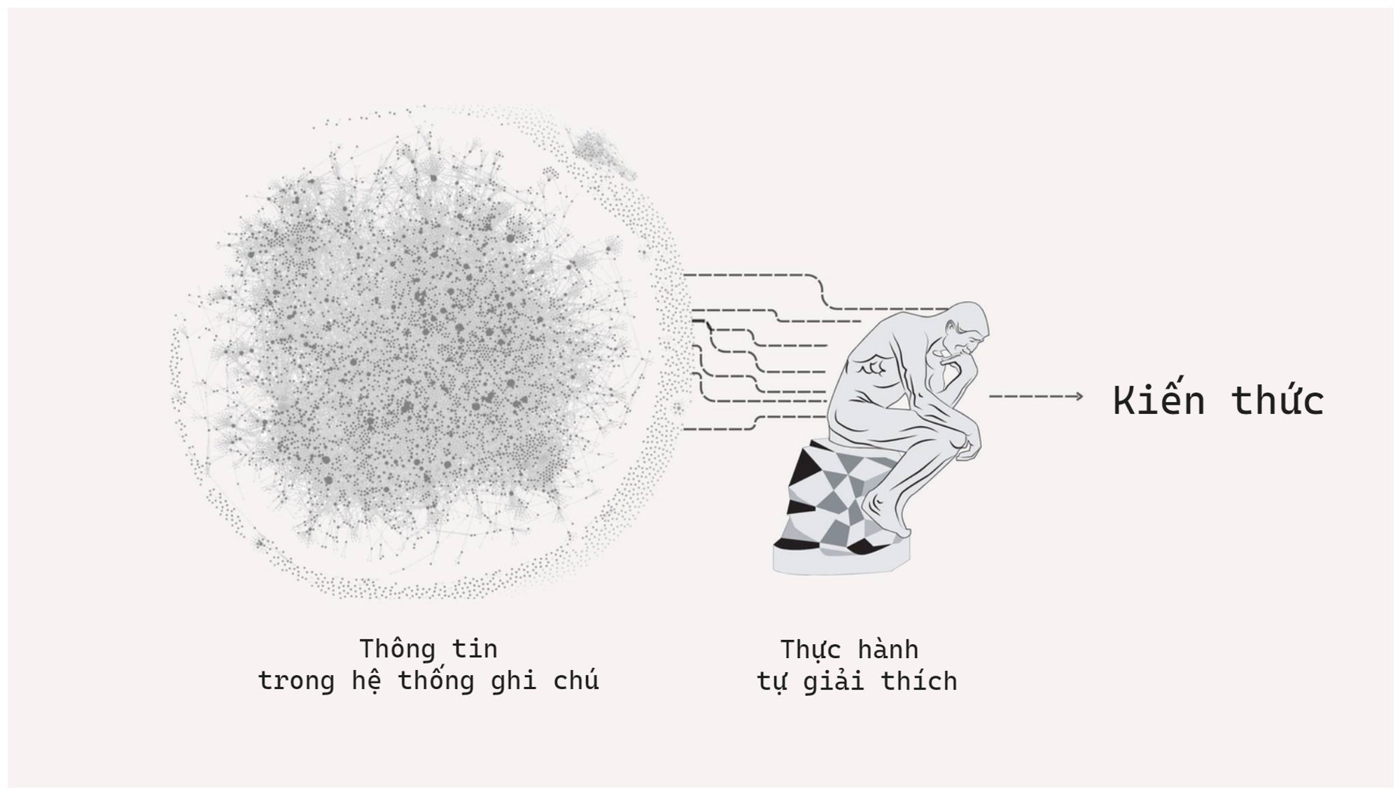 Thực hành giải thích kiến thức - by Long Hoàng