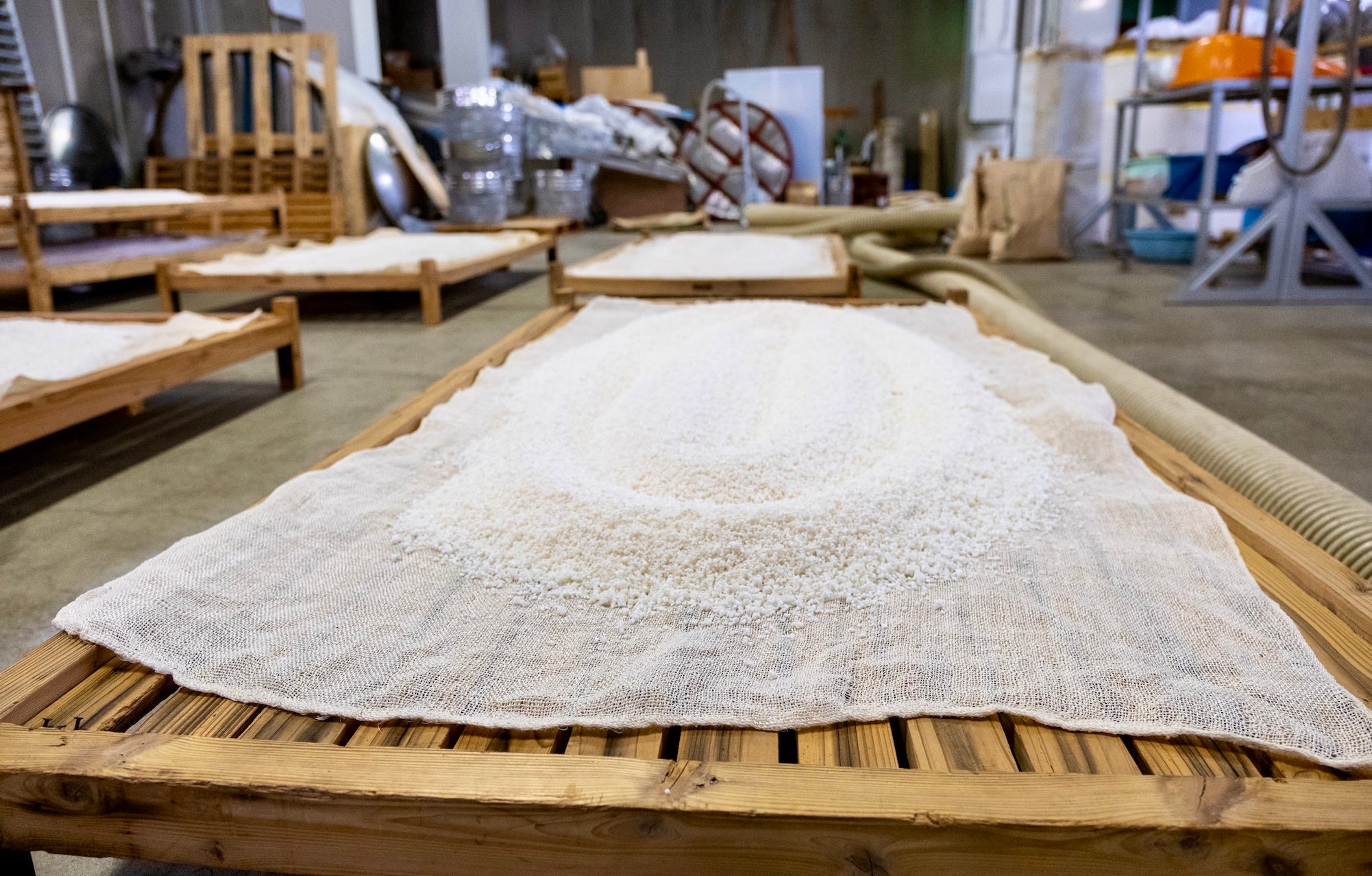 �Seimai-buai�: A Tale Of Misplaced Importance 