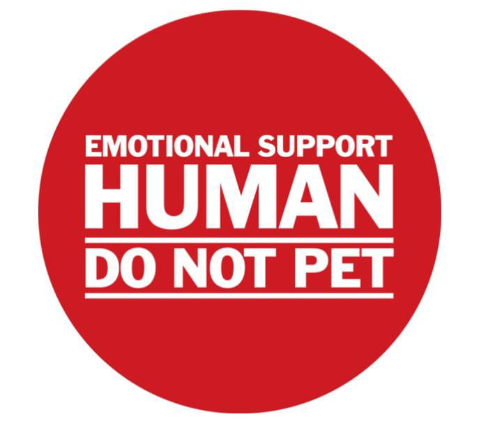 Emotional support top therapist near me