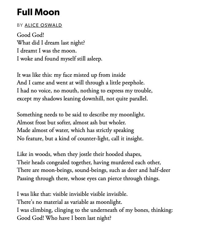 Strawberry Moon: Poems - by Maya C. Popa - Poetry Today