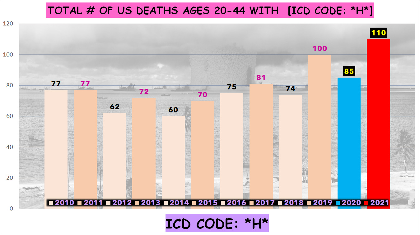 Total number of deaths **AGES 20-44** for the entire US from 2010-2021 ...