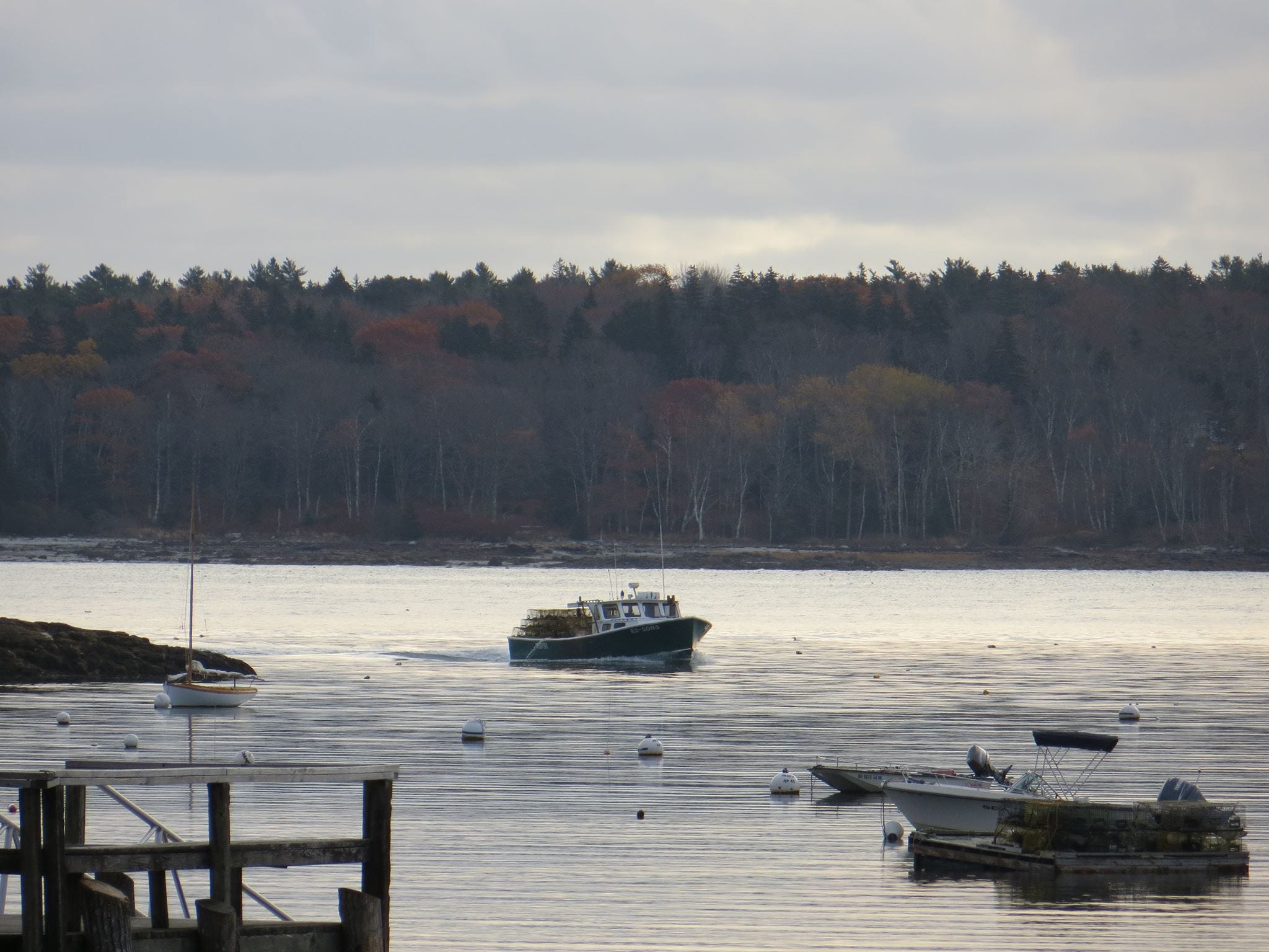 Heather Cox Richardson'S Project 2025: The Shocking Truth - xv101w3