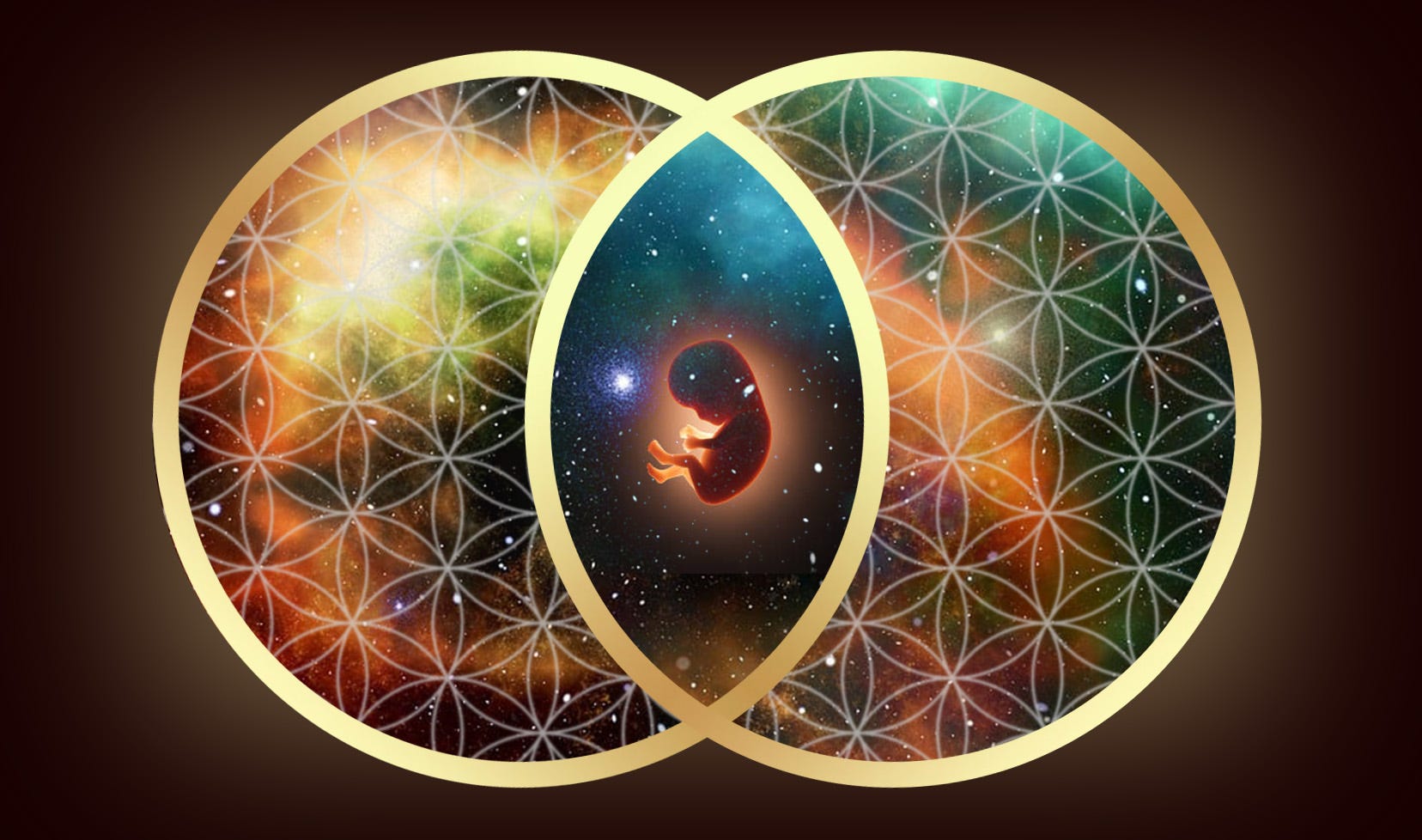激安本物 Vesica Piscis, Schmidt Julie by - Entanglement into Lens a イラスト
