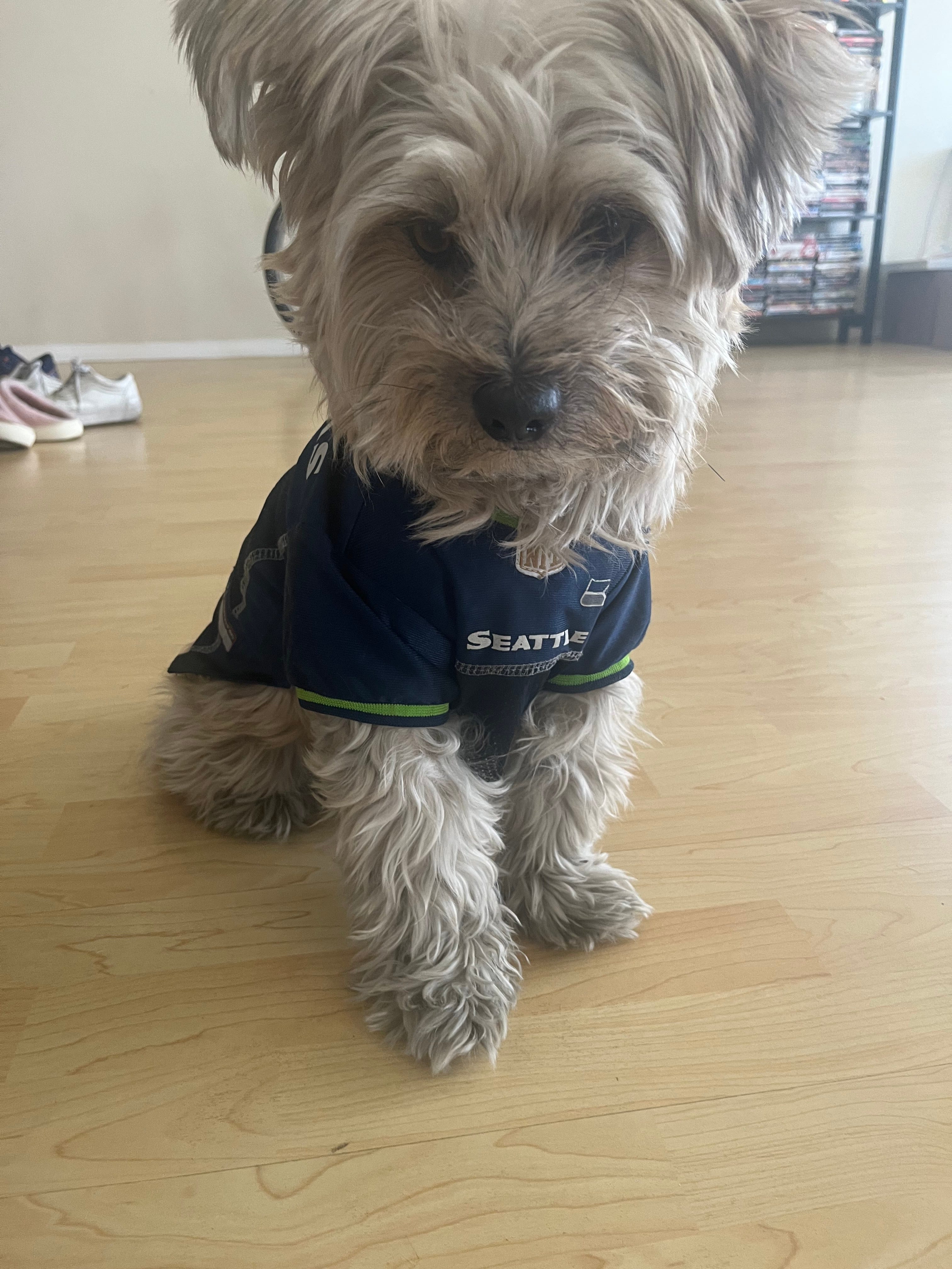 Seahawks jersey price discount