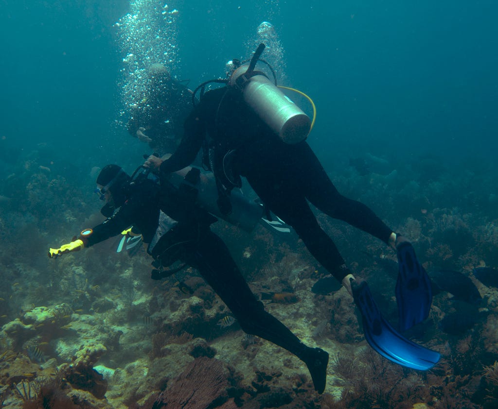 obstacles underwater