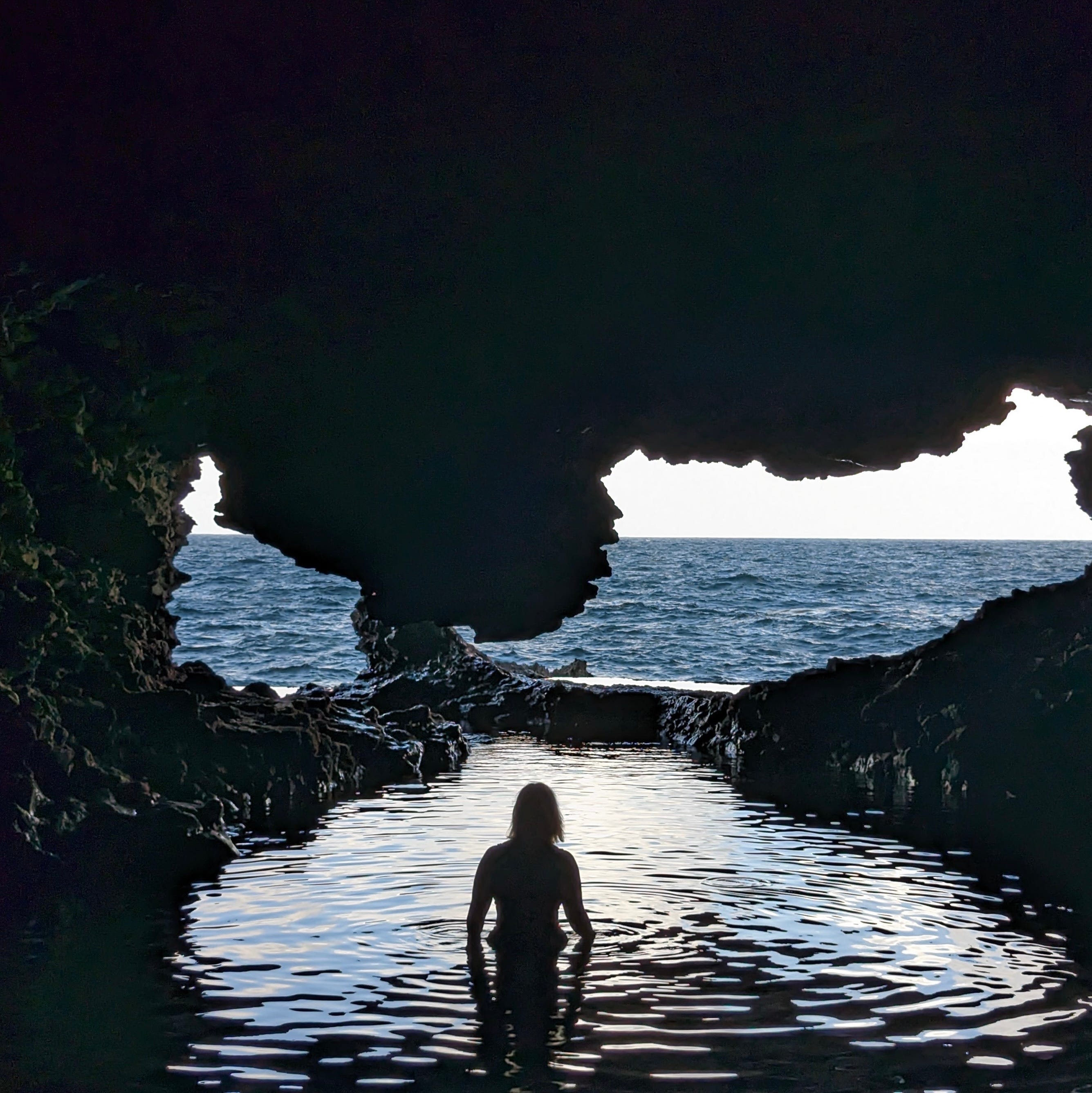 North Point Animal Flower Cave Best Flower Site