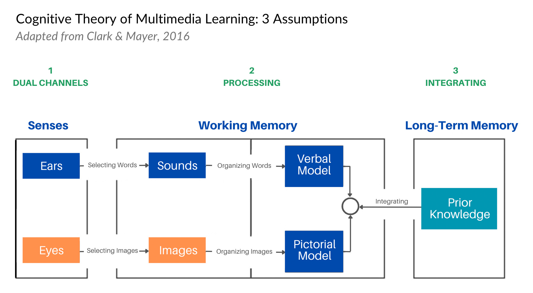 Navigating Cognitive Overload How People Process Information