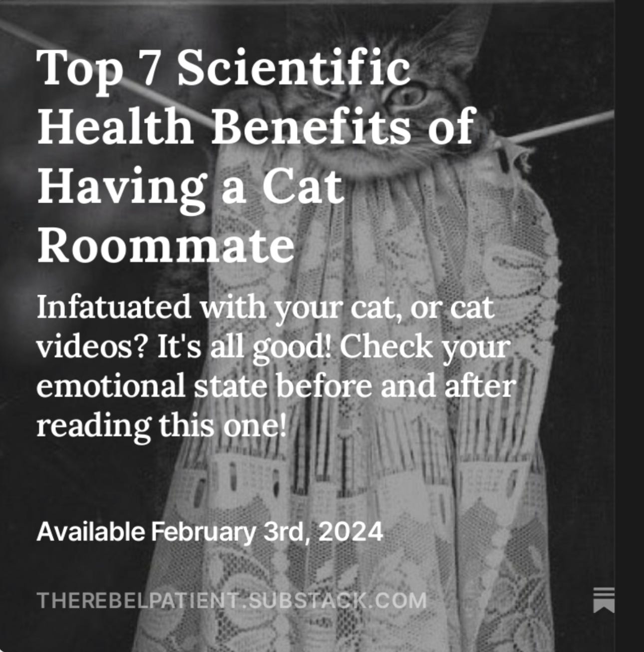 Top 7 Scientific Health Benefits of Having a Cat Roommate