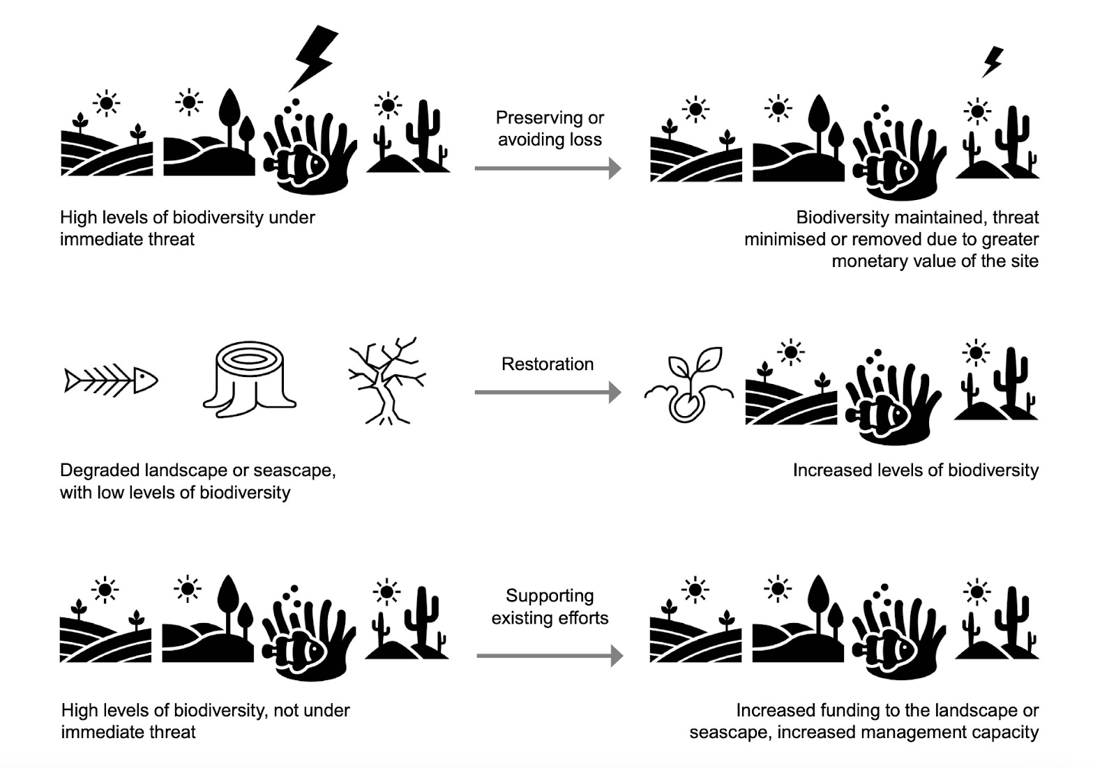 How to kickstart the private sector biodiversity movement