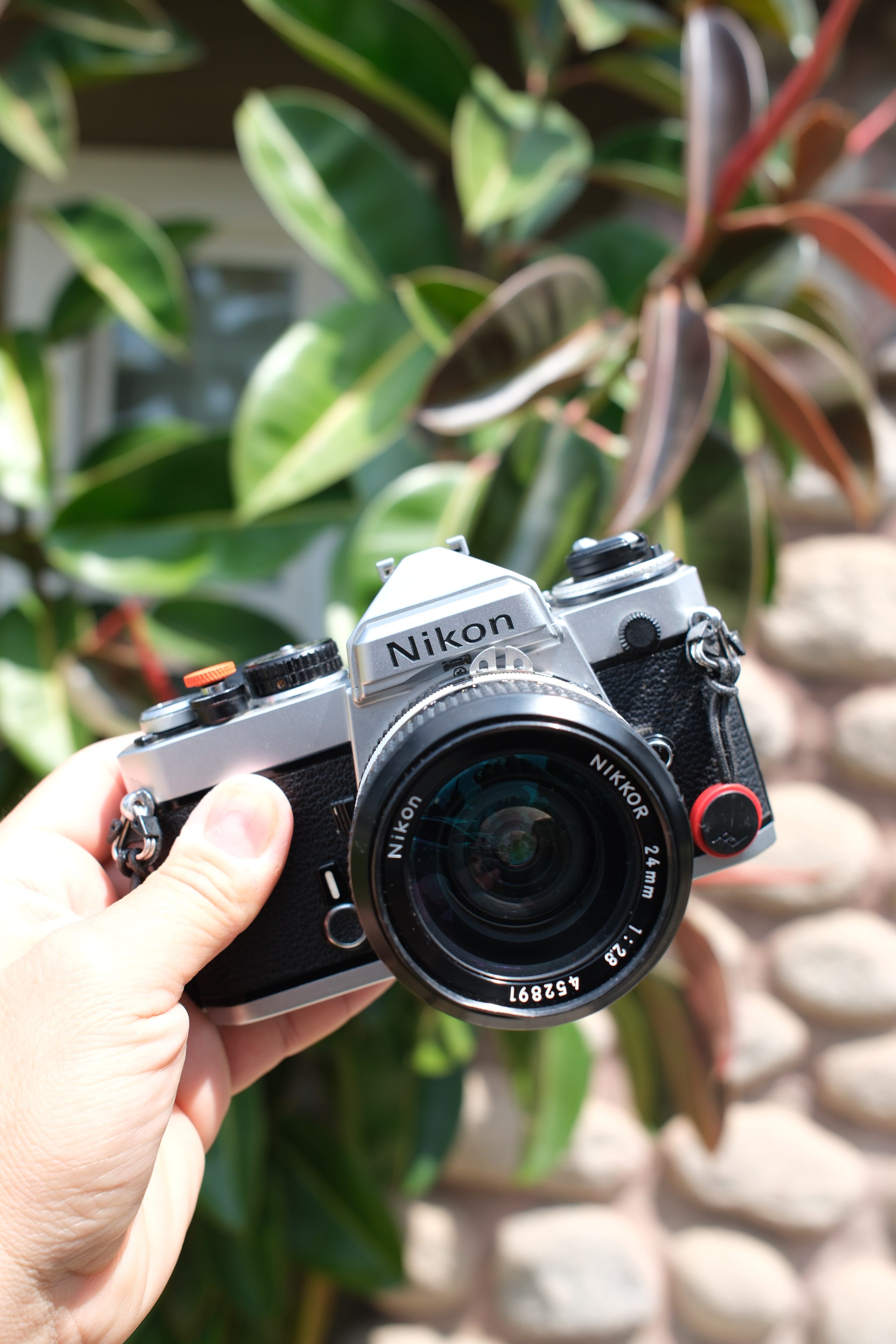 売れ筋介護用品も！ SLR Classic A FE: Nikon the Shooting That Up Holds フィルムカメラ
