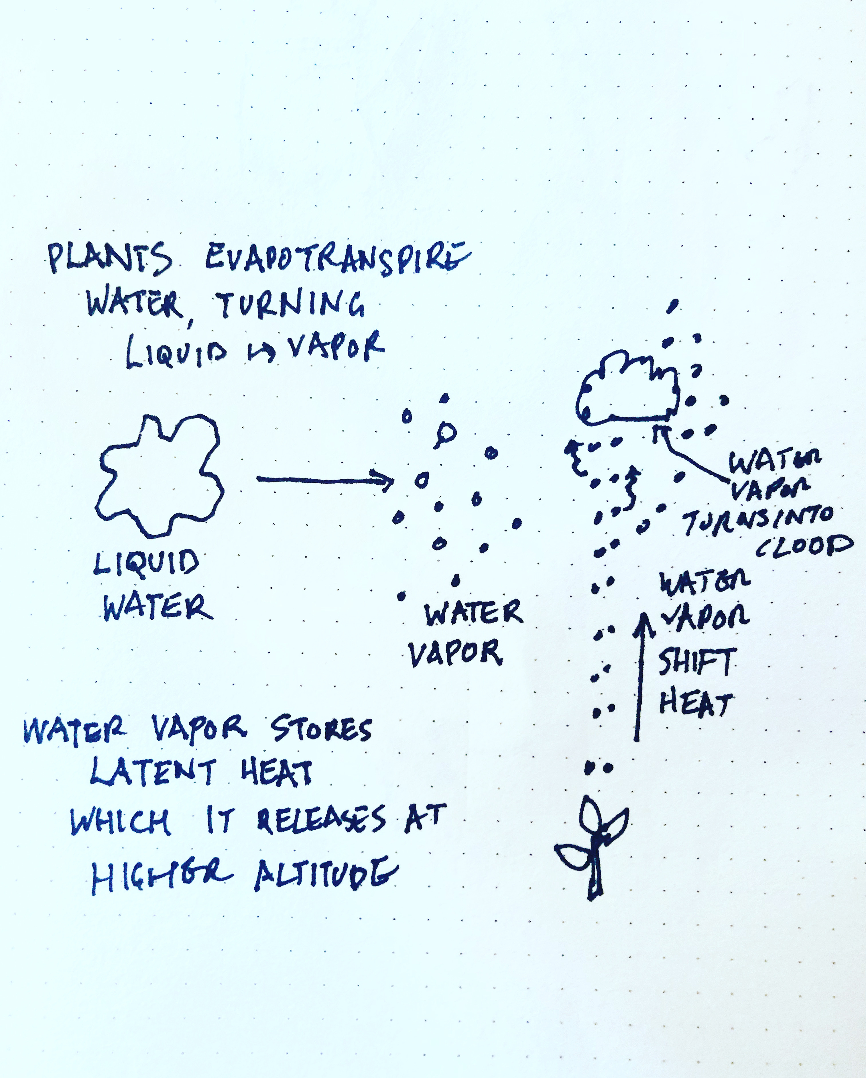 Portraits of water by Alpha Lo Climate Water Project