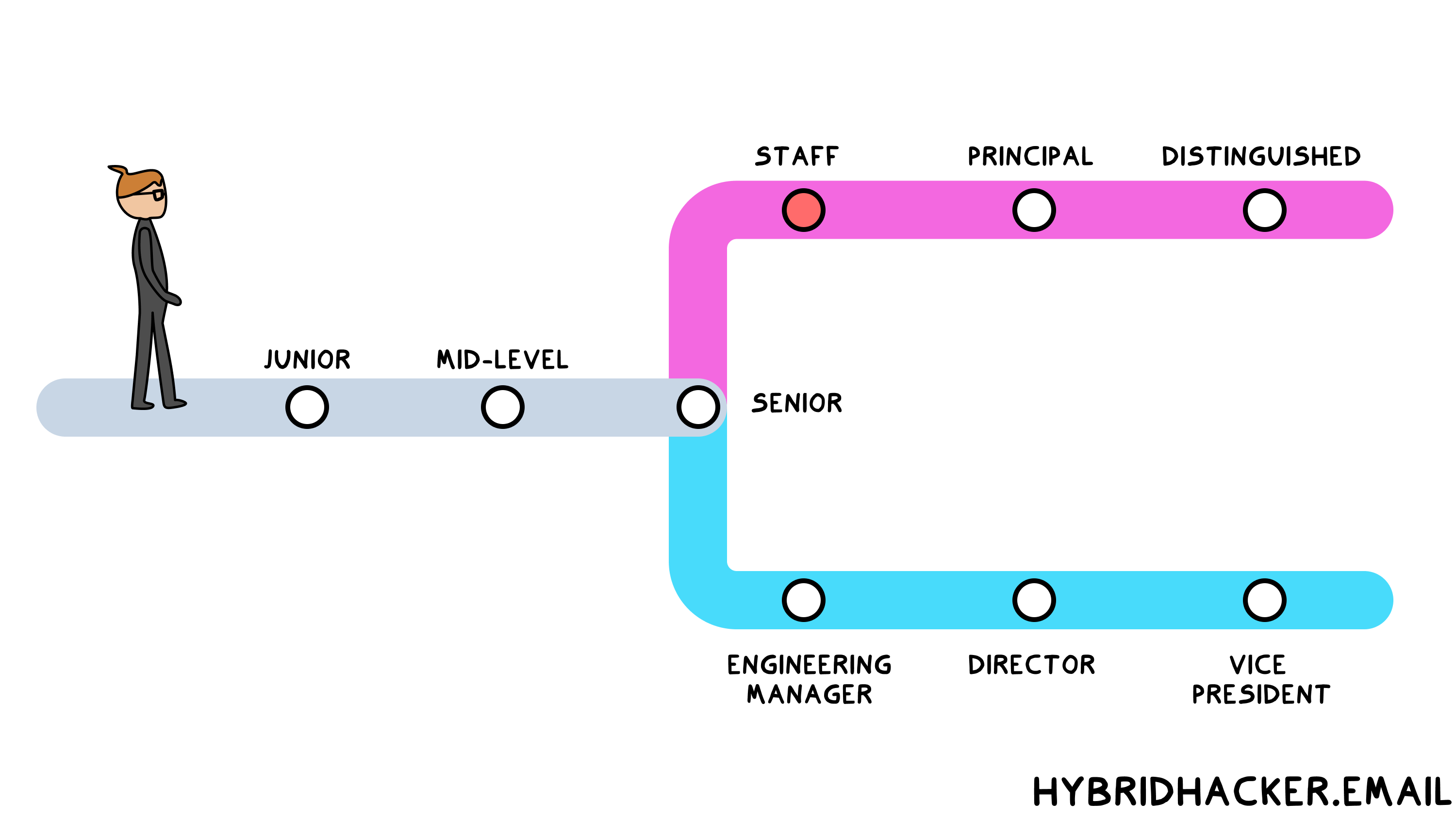 What is a Staff Engineer?