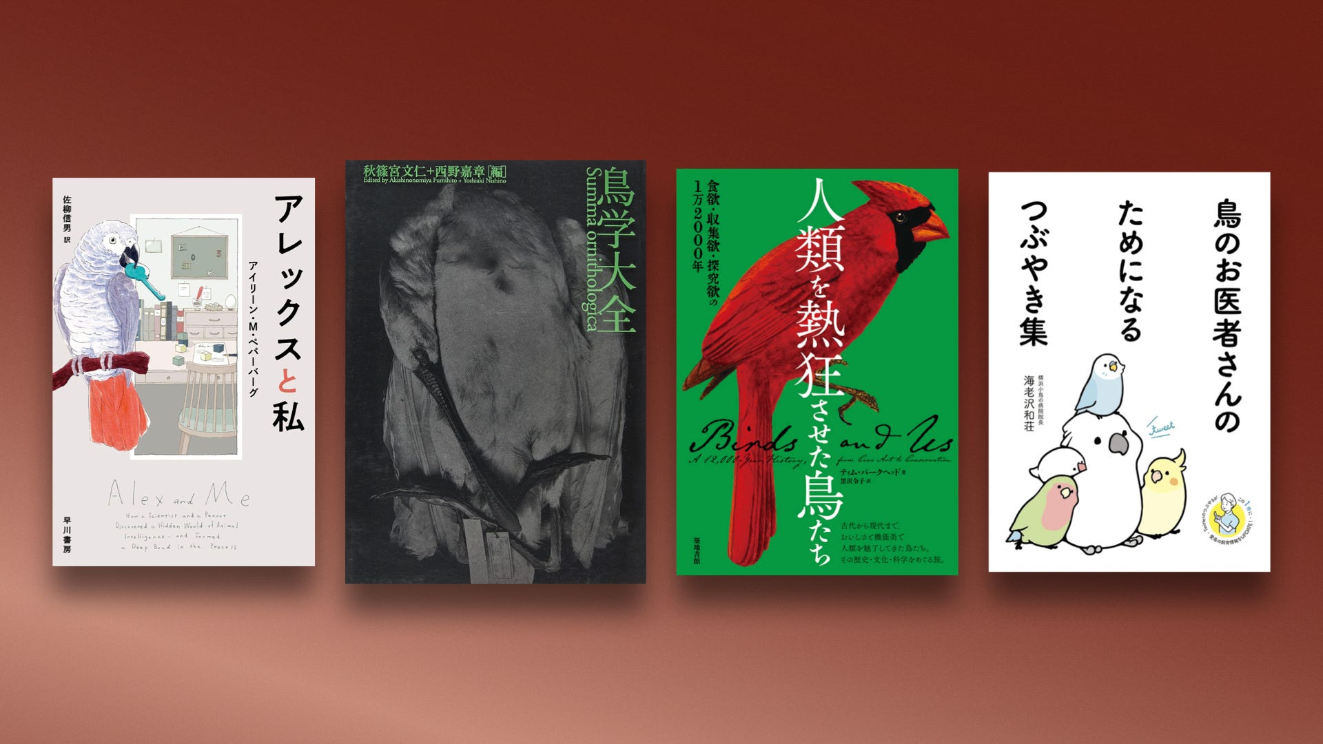 ぼうぼう工房 鳥類学