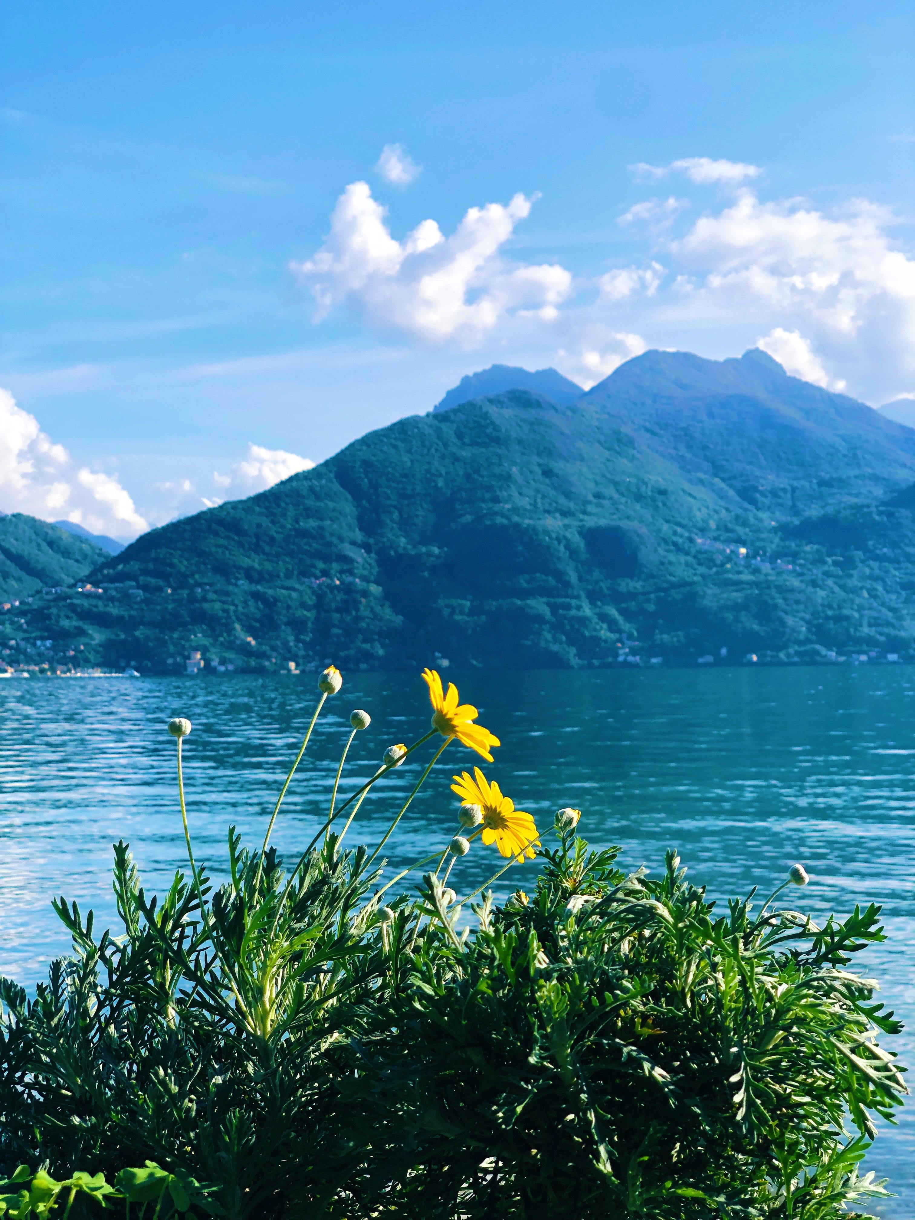 The Lake Life - le bon vivant