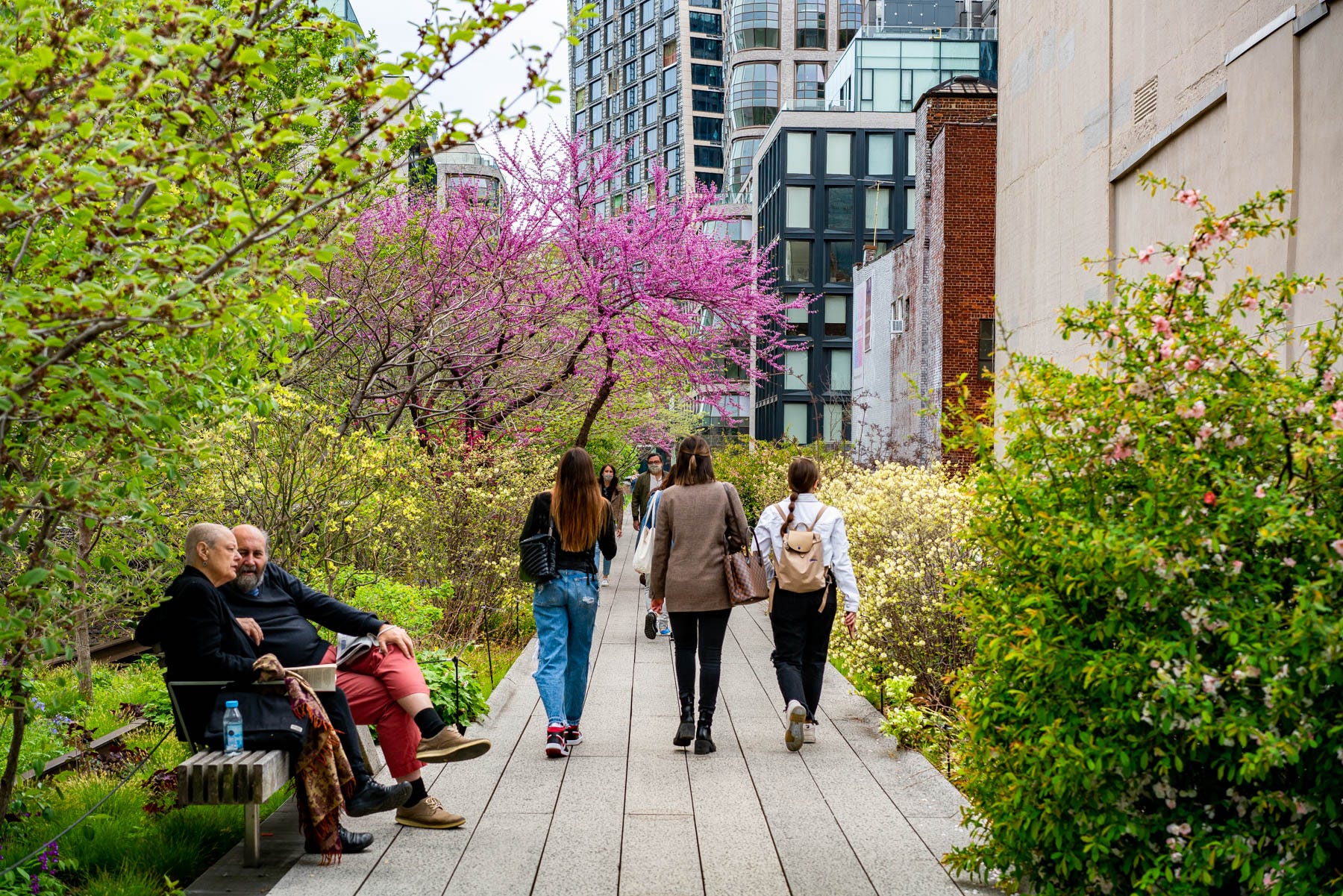 Spring in New York City: 8 Stunning Cherry Blossom Locations You Can't ...