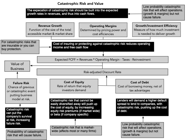 Big Risks: Catastrophic Risk in Investing and Business