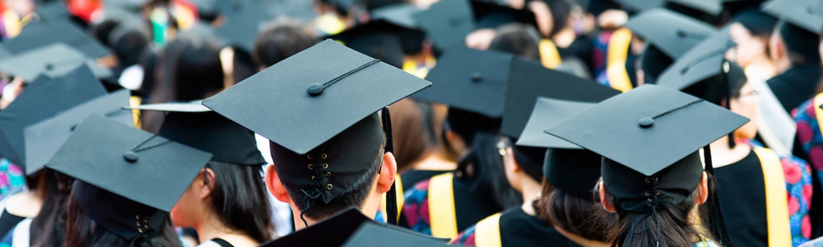 Macroeconomic Context: Education as a Buffer Against Consumption Volatility