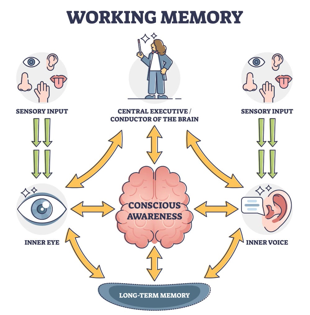 Working memory development top