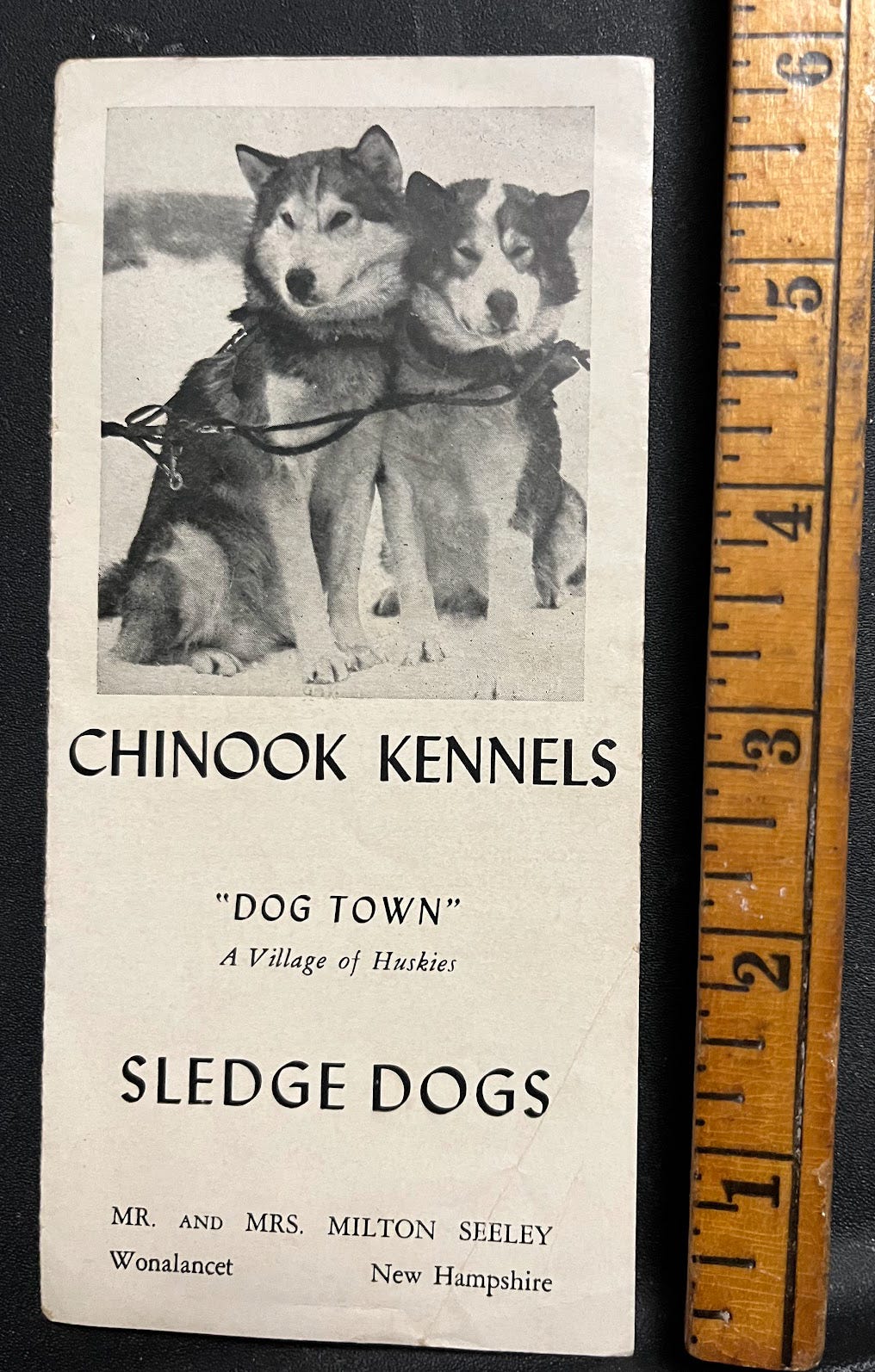 Chinook husky shop