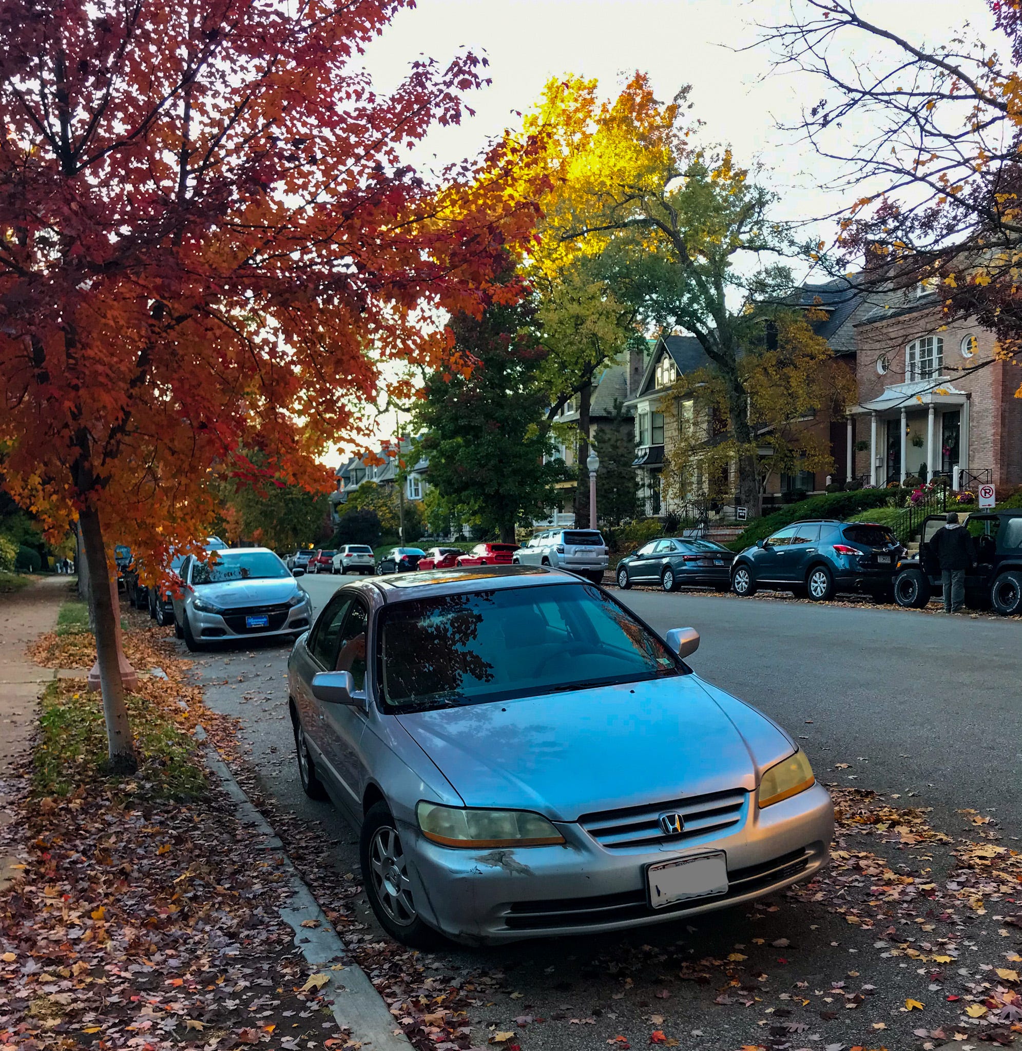 Cars of the City - by Tipper Raddle - Tipical World