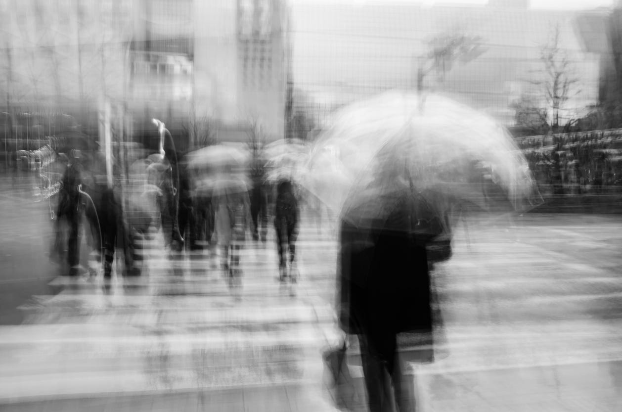 Why Do Memoirs Matter why-do-memoirs-matter