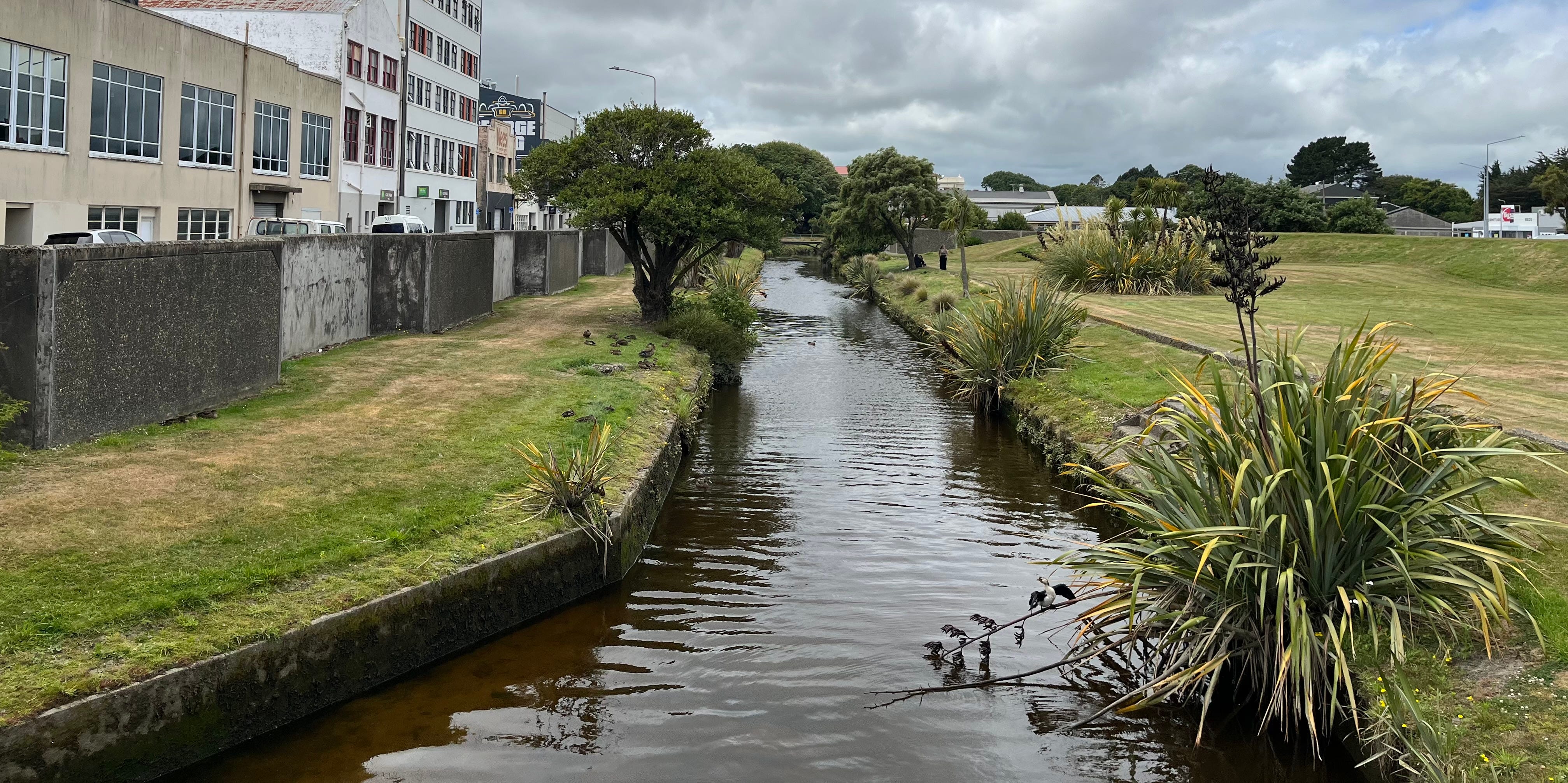 Will an Invercargill 'lighting and sculpture trail' get the green light?