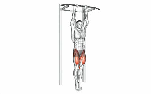 Dead hang pull up bar 2025