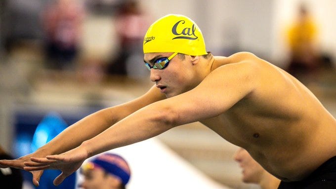 Live Updates Cal Men s Swimming and Diving Rising to the Team