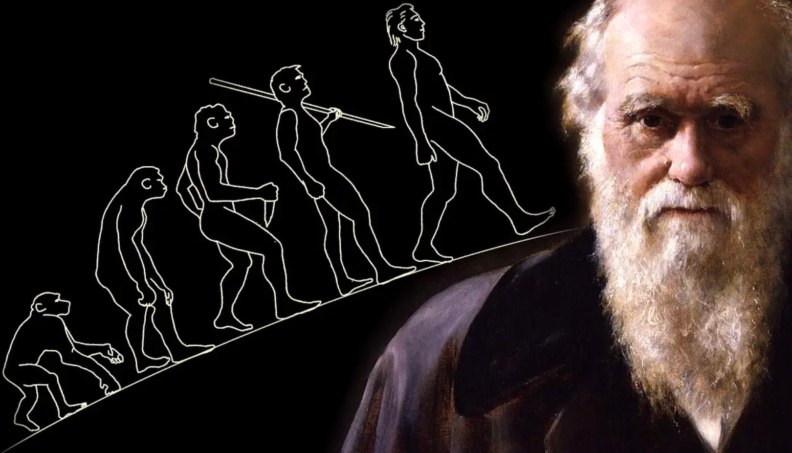 The theory of et evolution on earth by robert stanley