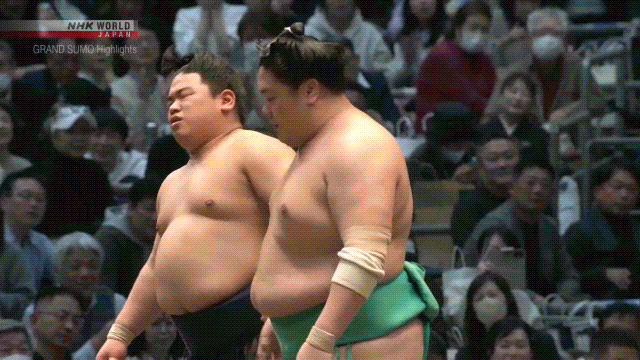Sumo Stomp! | Tim Bissell | Substack