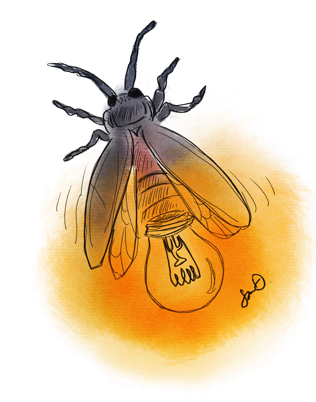 Lightning Bugs - by Sean Dietrich - Sean of the South