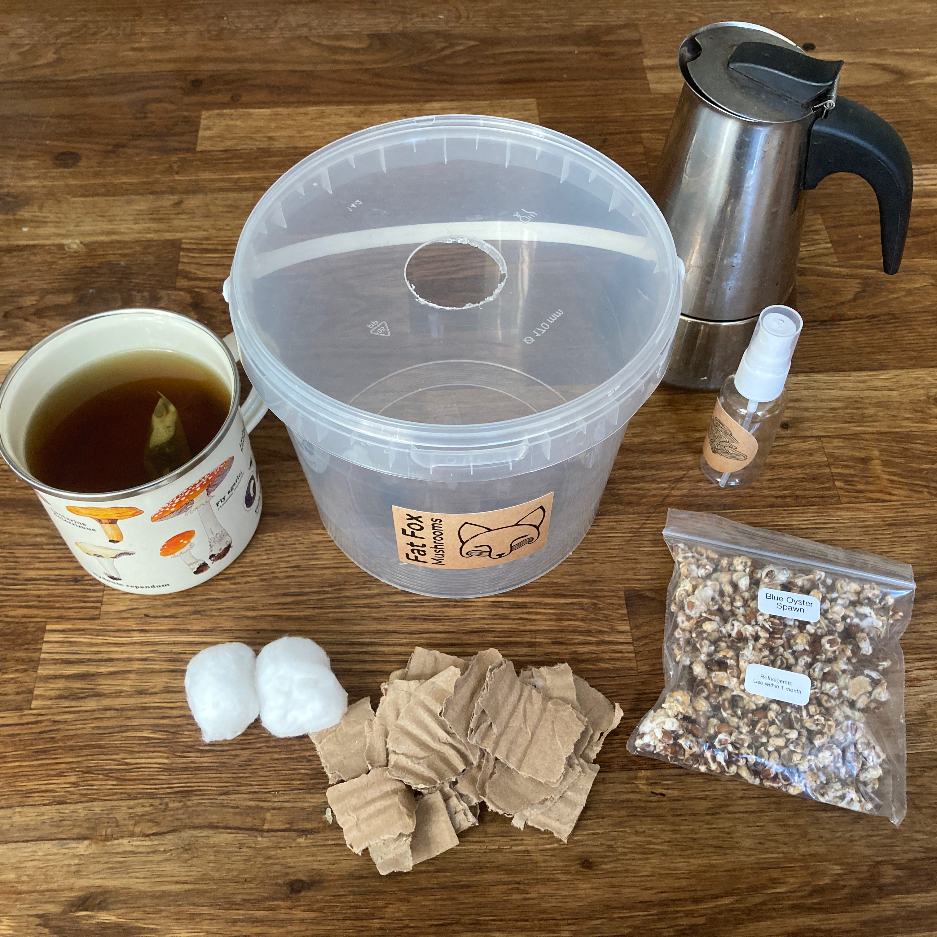 How to grow mushrooms at home