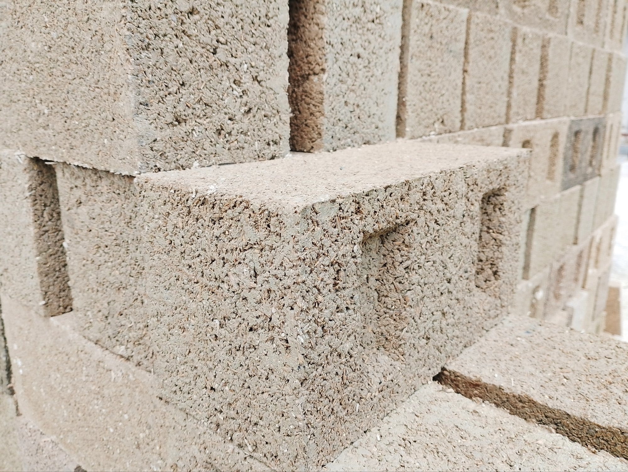 This startup is building homes with hemp - Climatopia